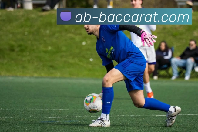 百家乐官网APP 封面图